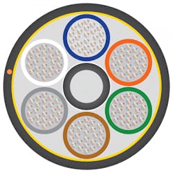 Roll Fig2 0920 300x300 Roll Fig2 0920 300x300