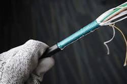 Environmental Fig2 1220 300x200 Environmental Fig2 1220 300x200