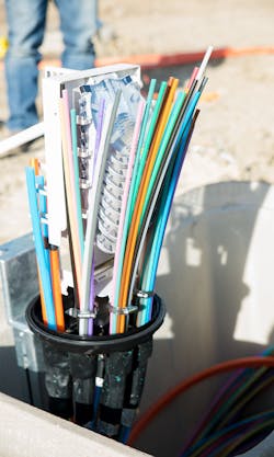 colored microtubes300x500 colored microtubes300x500