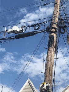 Rlp Fig1 0521 225x300 Rlp Fig1 0521 225x300