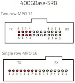 100 G Fig4 0621 271x300 100 G Fig4 0621 271x300
