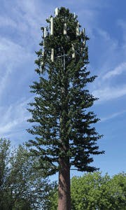 Covert Fig1 0921 180x300 Covert Fig1 0921 180x300