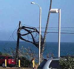 Fiber Fig1 1221 Fiber Fig1 1221