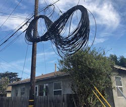 Fiber Fig5 1221 Fiber Fig5 1221