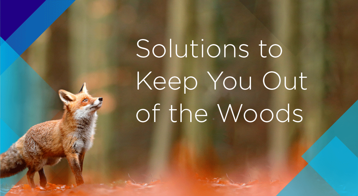 Sumitomo_0222_1200x657