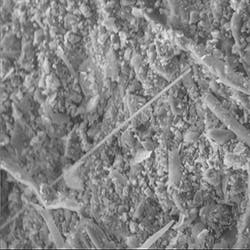 Disaster Fig4 0322 Disaster Fig4 0322