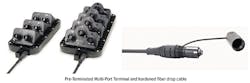 Fiber Fig2 0322 Fiber Fig2 0322