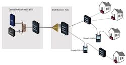 Fiber Fig3 0322 Fiber Fig3 0322