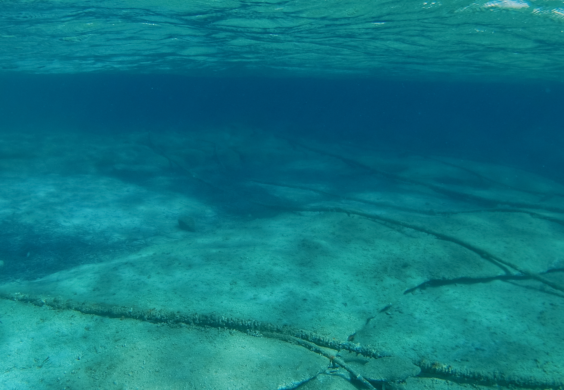 Dreamstime M 202314705 636a7ca8402f2