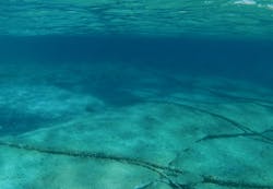 Dreamstime M 202314705 636a7ca8402f2 Dreamstime M 202314705 636a7ca8402f2