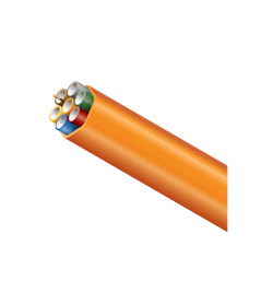 Futurepath 7way 8 21 1 639b309910788 Futurepath 7way 8 21 1 639b309910788