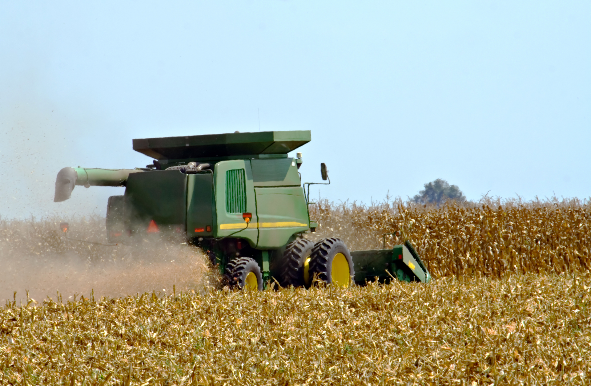 Dreamstime M 3162936 63fceba1a8822