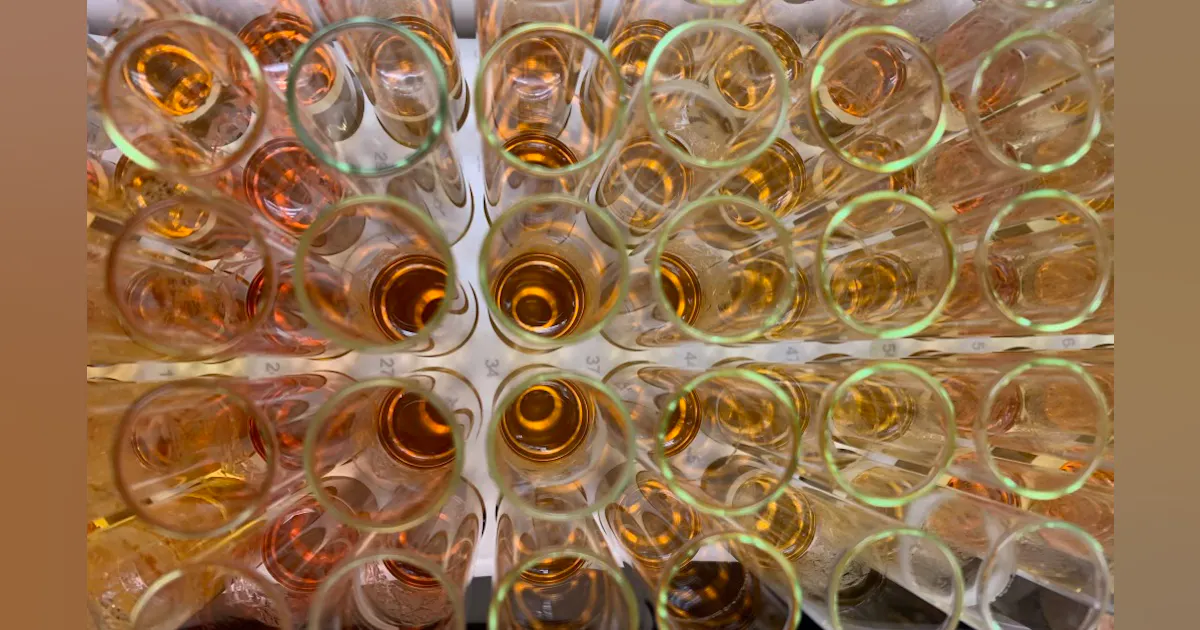 Proactive Powering Problem-Solving with Polymers | ISEMAG