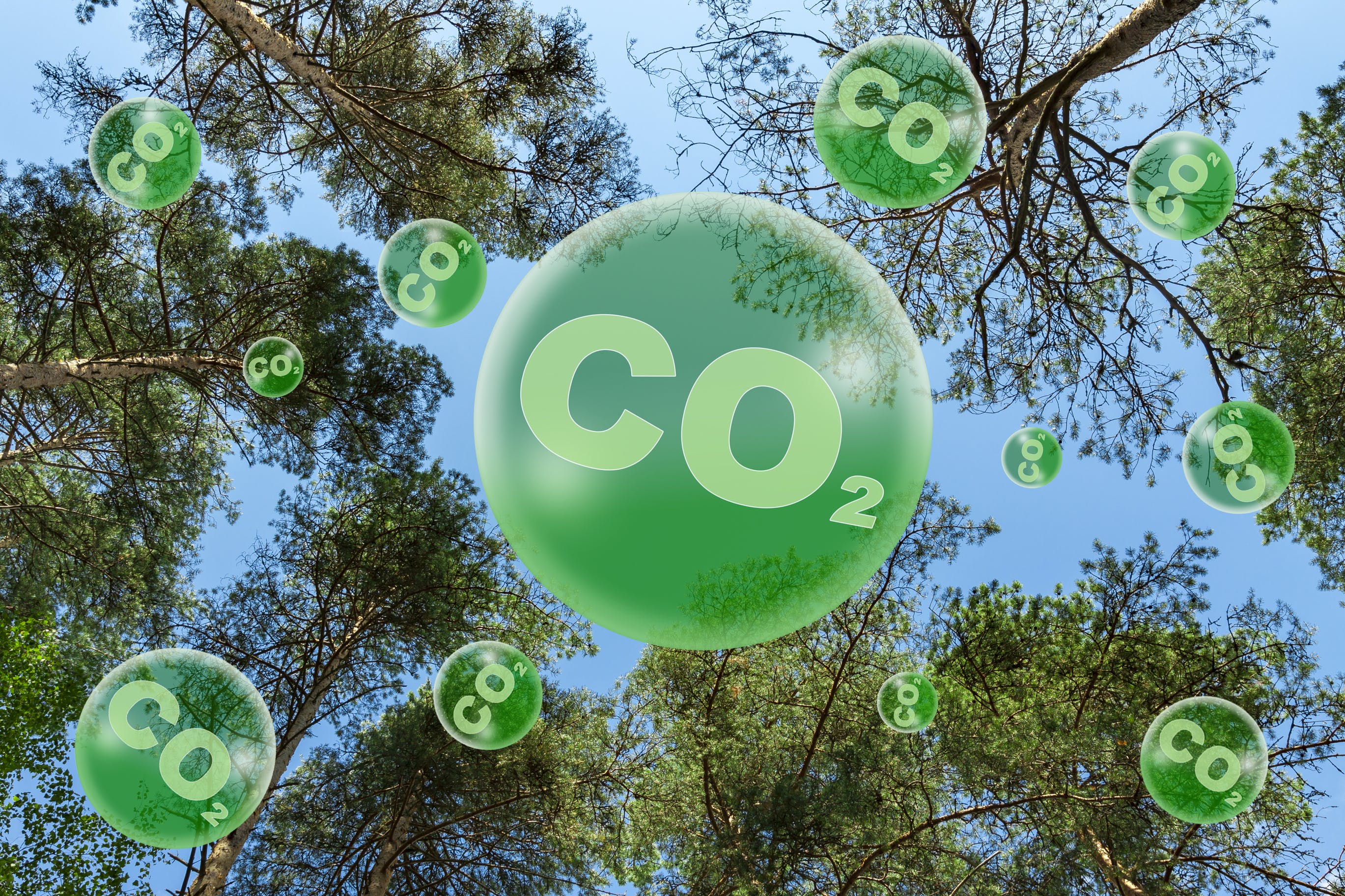 6570b78b222b2b001e6ced3b Dreamstime L 157597014