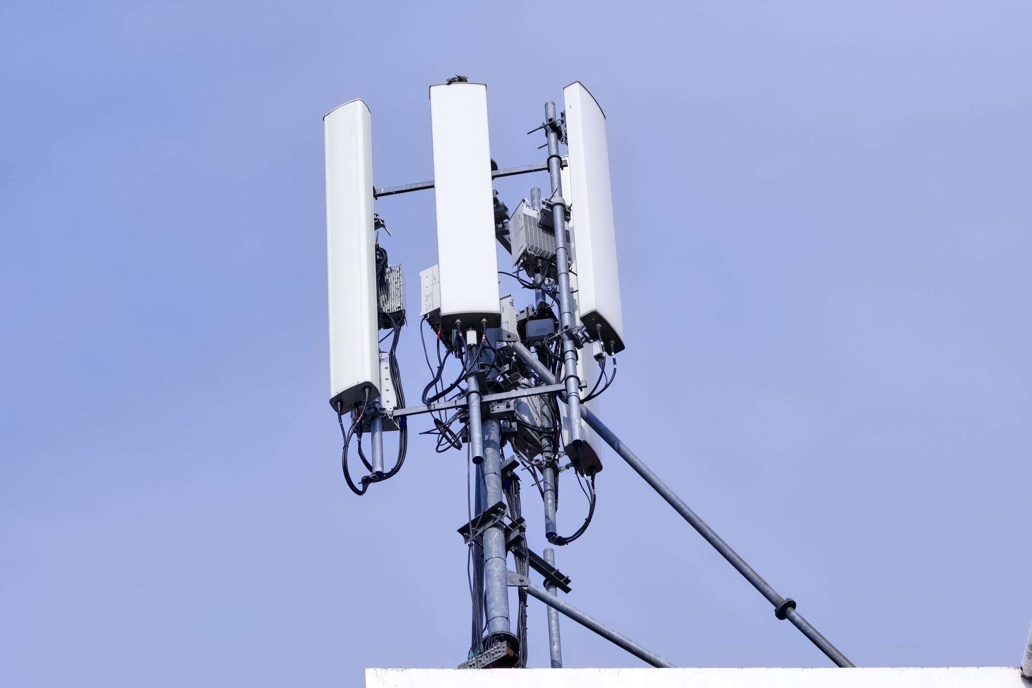 65ca7582634d8a001ef3c379 Dreamstime M 130931042