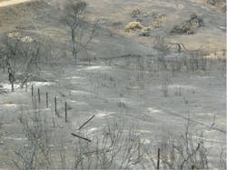 All that remains of two aerial cable plants. All that remains of two aerial cable plants.