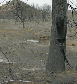 Some fiber survived. Here is a temporary fix. Some fiber survived. Here is a temporary fix.