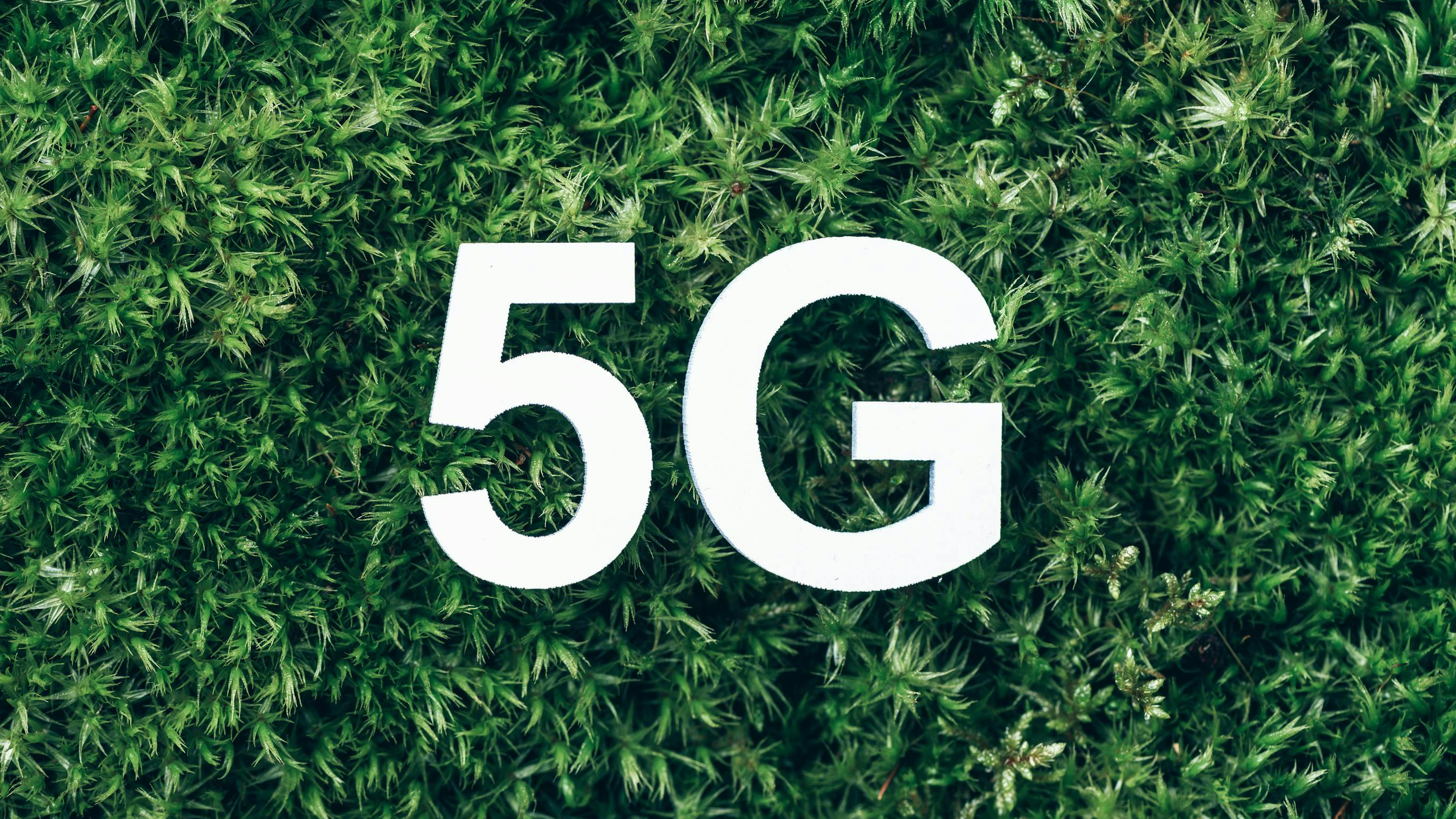 dreamstime_l_260840589