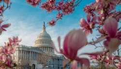 66ab0b1d0d214b7be8cbe7b6 Dreamstime S 326290741 66ab0b1d0d214b7be8cbe7b6 Dreamstime S 326290741