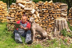 66fc52dbb0a5a939fe410b11 Dreamstime S 183432293 66fc52dbb0a5a939fe410b11 Dreamstime S 183432293