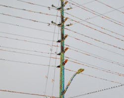 Planning includes taking inventory and measuring equipment attached to existing poles and assessing whether the pole meets the minimum requirements for adding fiber. Planning includes taking inventory and measuring equipment attached to existing poles and assessing whether the pole meets the minimum requirements for adding fiber.