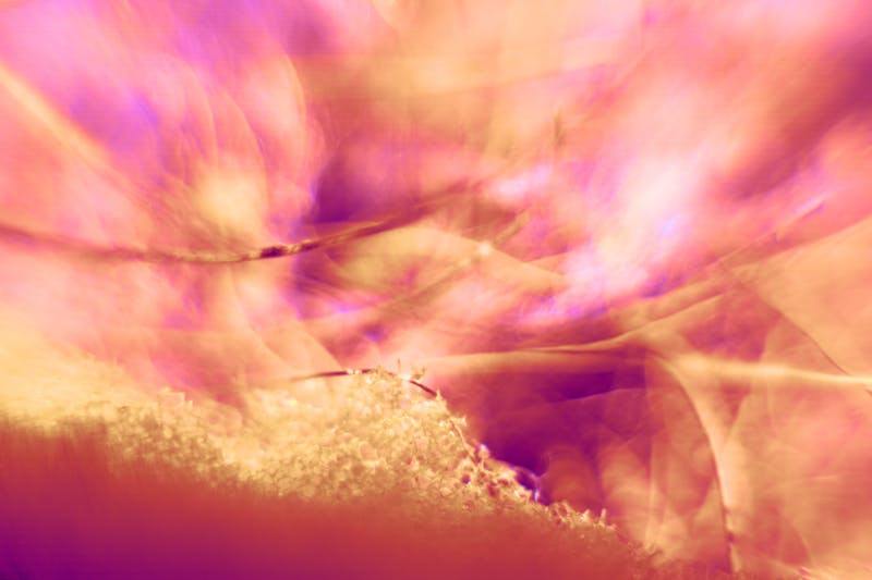 67aa63c4d2a3dc0d2b44a083 Dreamstime S 271188625