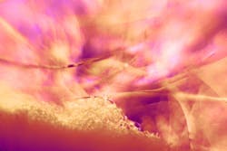 67aa63c4d2a3dc0d2b44a083 Dreamstime S 271188625 67aa63c4d2a3dc0d2b44a083 Dreamstime S 271188625